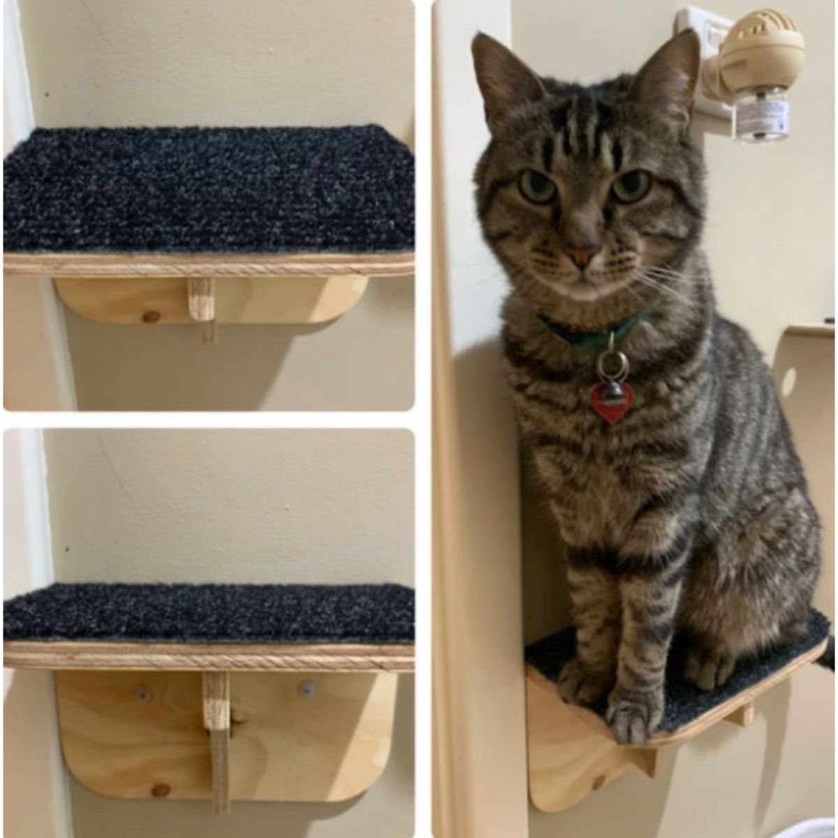 Cat furniture, cat scratchy posts, Cat Haven, Perth Cattery - cat boarding - gifts for cat lovers