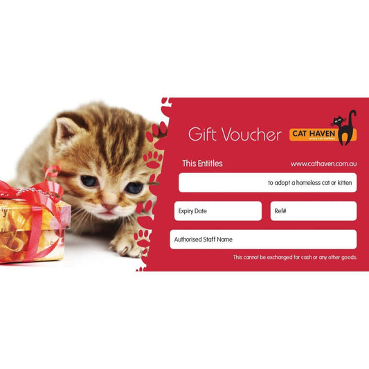 cat adoption voucher cat toys, cat boarding Perth, Cat Haven, Perth, cat food, cat products, lost & found cats