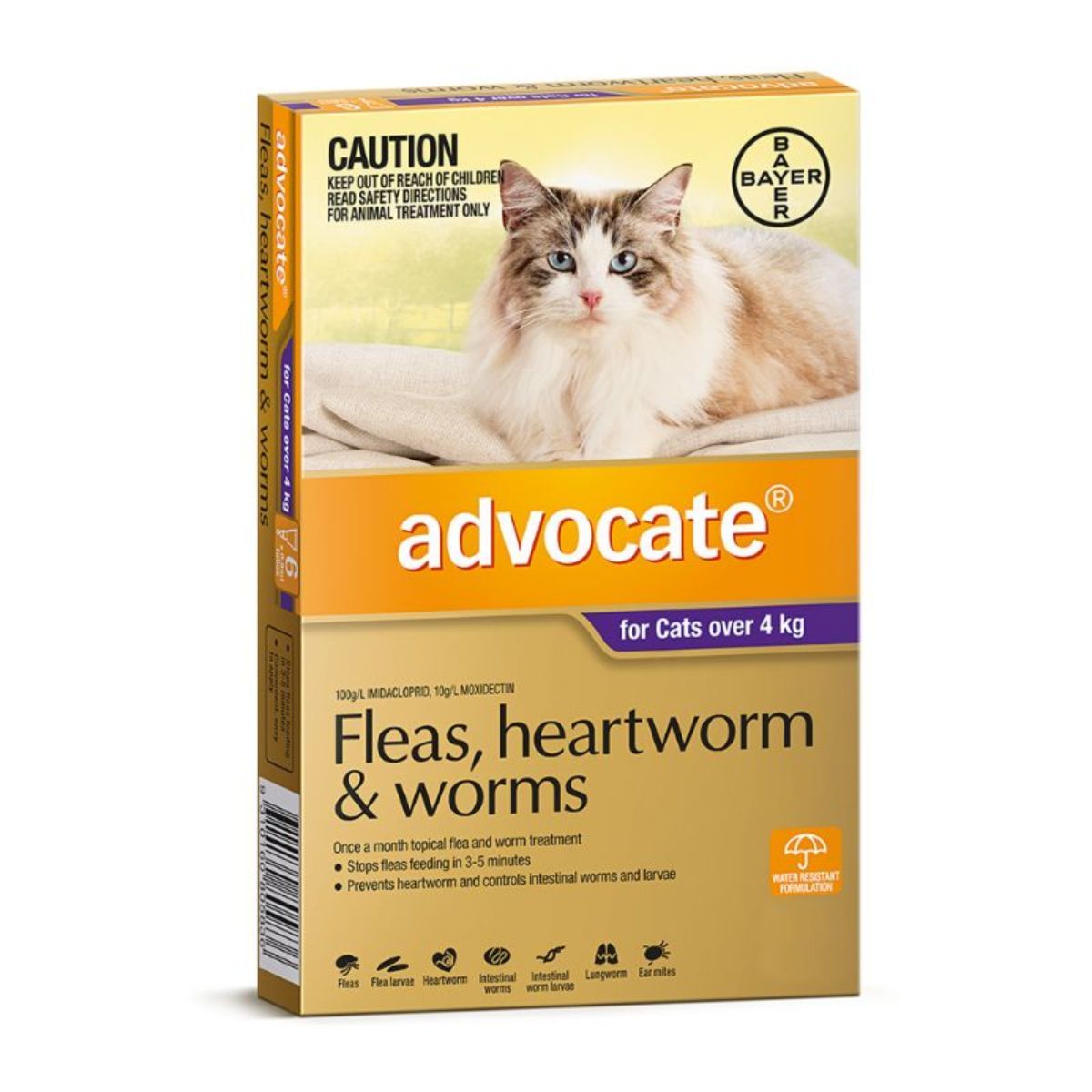 advocate cat flea treatment cat toys, cat boarding Perth, Cat Haven, Perth, cat food, cat products, lost & found cats