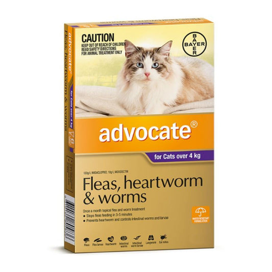 advocate cat flea treatment cat toys, cat boarding Perth, Cat Haven, Perth, cat food, cat products, lost & found cats