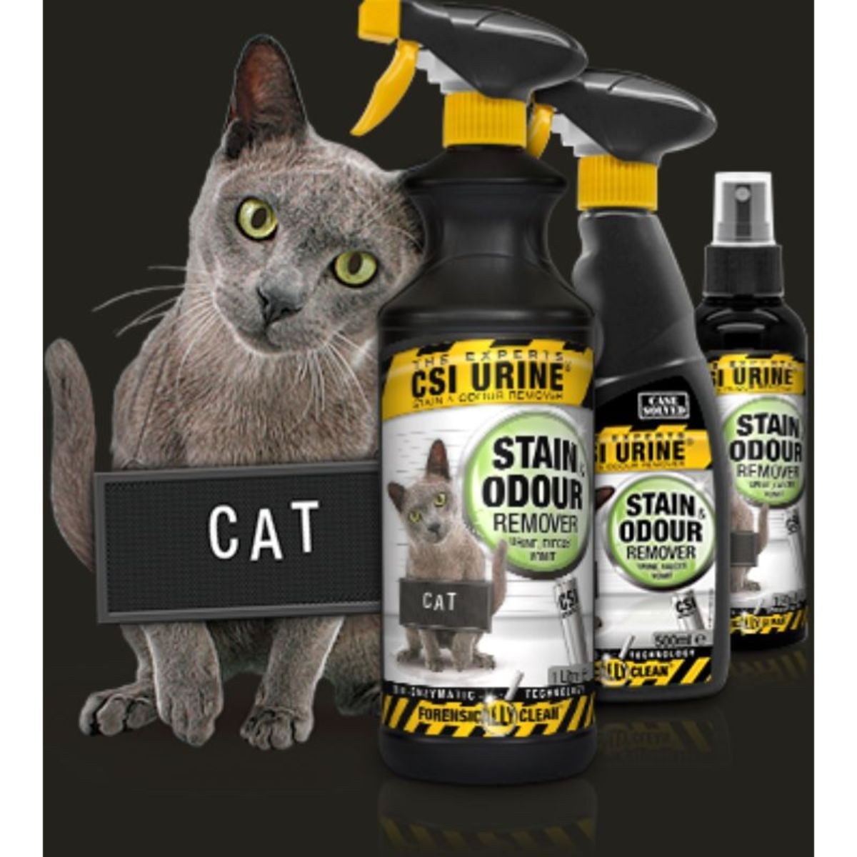 rescue cats, adopt/foster cats, cat beds, cat food, cat toys, Cat Haven, Perth