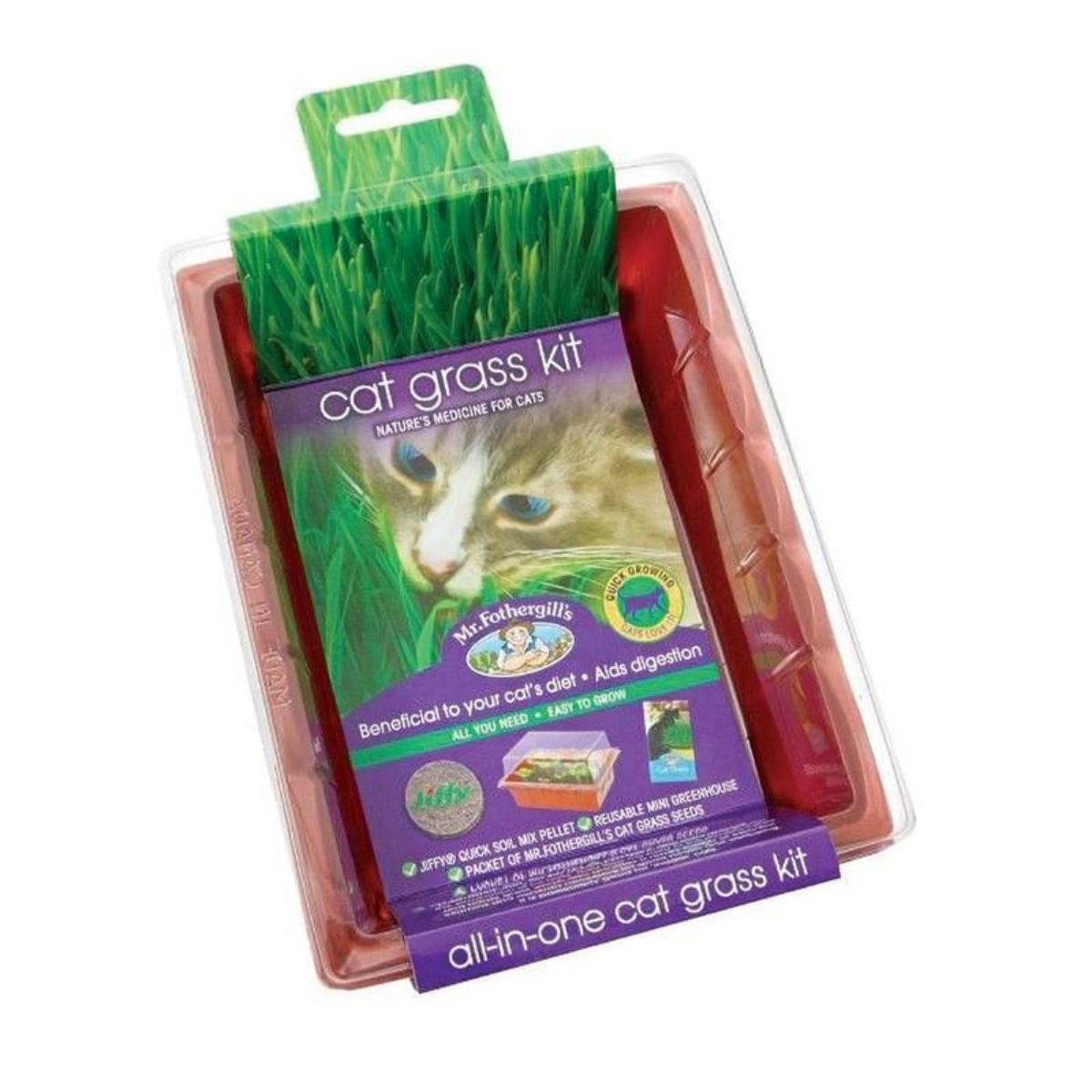 rescue cats, adopt/foster cats, cat beds, cat food, cat toys, Cat Haven, Perth Cattery - cat boarding - gifts for cat lovers