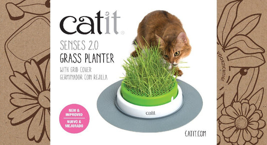 Catit Senses 2.0 Grass Planter ( Seeds sold seperately)