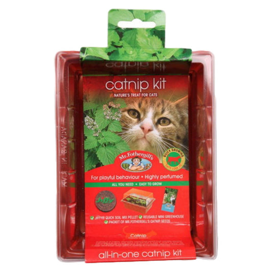 rescue cats, adopt/foster cats, cat beds, cat food, cat toys, Cat Haven, Perth Cattery - cat boarding - gifts for cat lovers